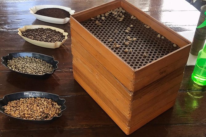 Green and roasted beans in dishes beside a wooden sorting tray on a farm table