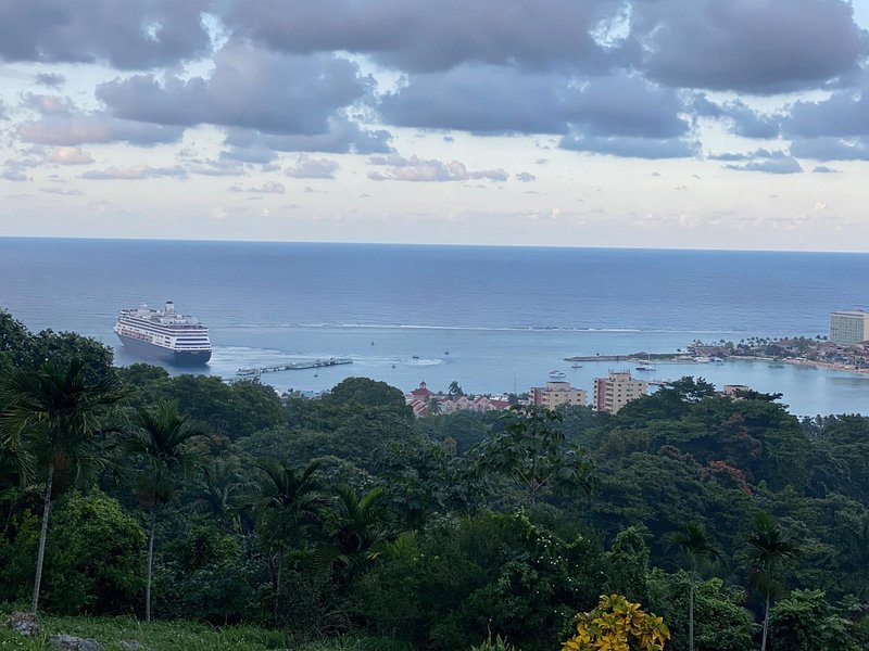 Ocho Rios harbour and a moored cruise ship seen from the wooded hills above the town