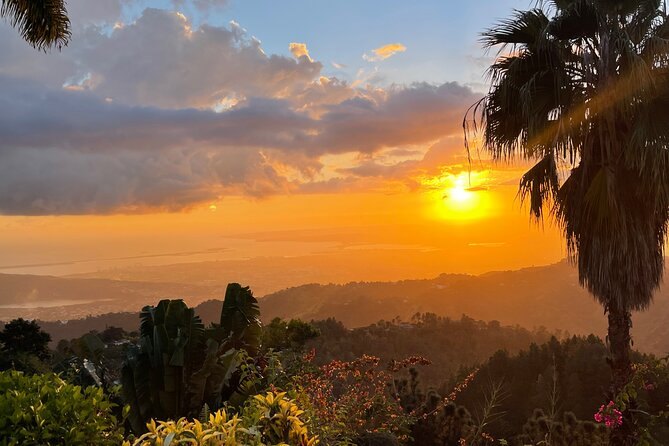 The sun dropping behind the hills, seen from a garden high on the ridge