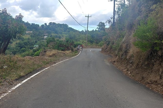 The narrow tarred road climbing into the Blue Mountains with a cut bank on one side