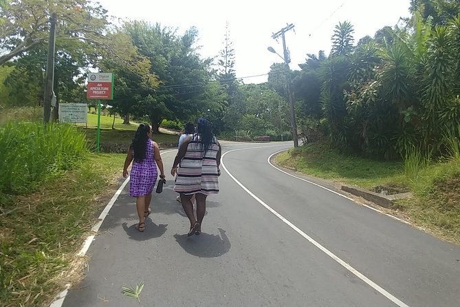Two walkers on the shoulder of the mountain road, forest falling away below